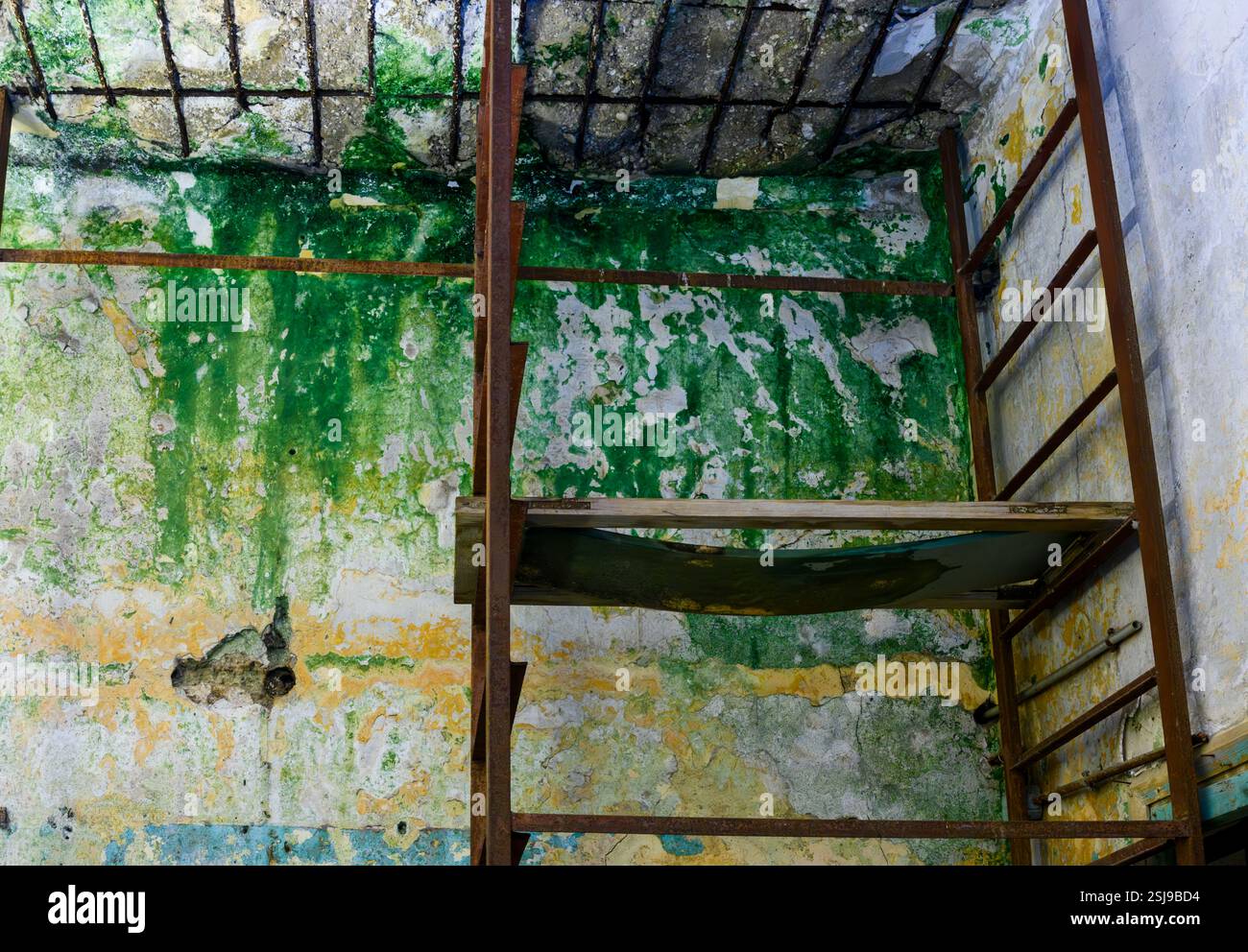 All'interno di una vecchia casa fatiscente, la parete incrinata presenta tracce di intonaco vecchio e sulla parete esterna umida si possono vedere crescere stampi di vernice Foto Stock