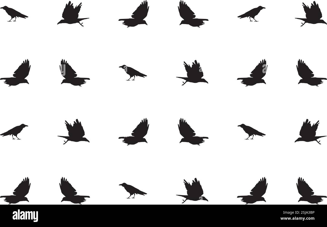 Pattern vettoriale con corvi. Illustrazione Vettoriale