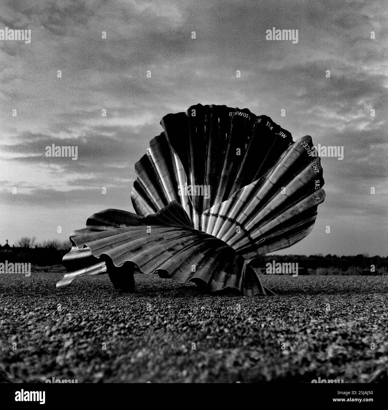 Scallop di Maggie Hambling Aldeburgh Suffolk UK 2025 Scallop è un'opera del 2003 dell'artista britannico Maggi Hambling. Si trova sulla spiaggia di Aldeburgh, Suffol Foto Stock