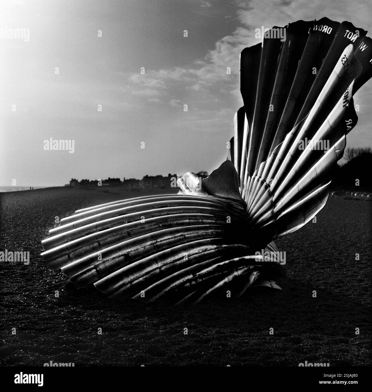 Scallop di Maggie Hambling Aldeburgh Suffolk UK 2025 Scallop è un'opera del 2003 dell'artista britannico Maggi Hambling. Si trova sulla spiaggia di Aldeburgh, Suffol Foto Stock