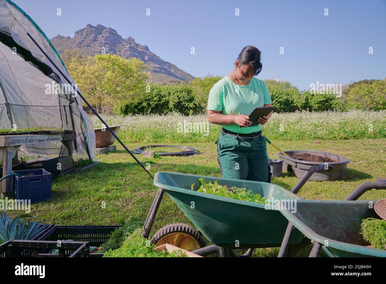 Agricoltore donna in piedi con un tablet accanto alla serra Foto Stock