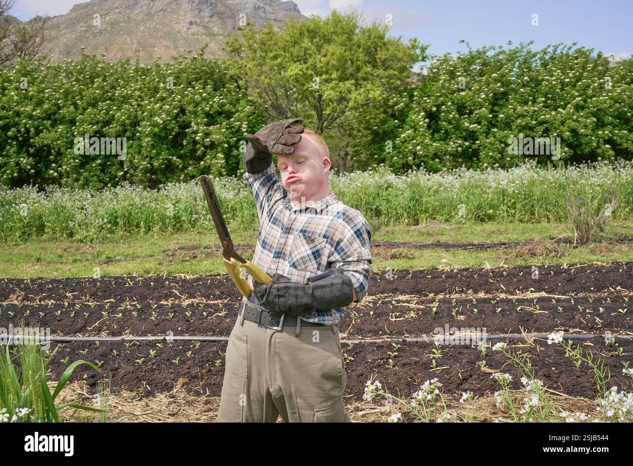Agricoltore in piedi con potatrice in giardino Foto Stock