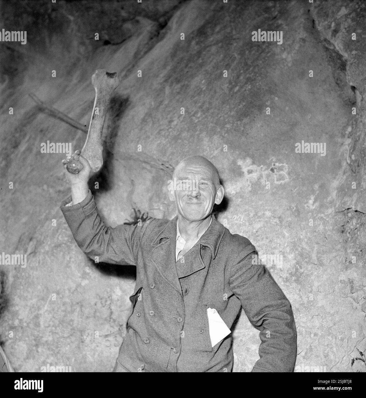 --- Oberschenkelknochen von einem Höhlenbär, 1953#osso di un orso grotta, 1953- RDB DI DUKAS Foto Stock