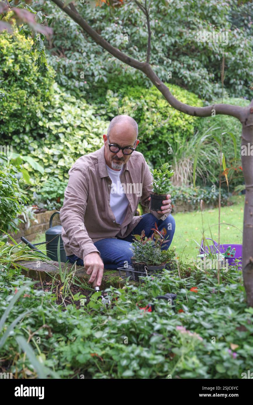 Uomo maturo che piantava in giardino Foto Stock