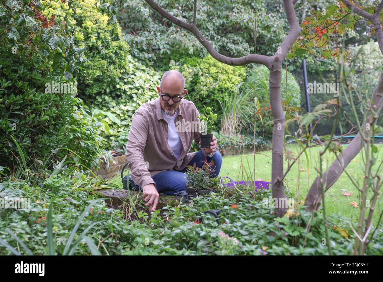 Uomo maturo che piantava in giardino Foto Stock