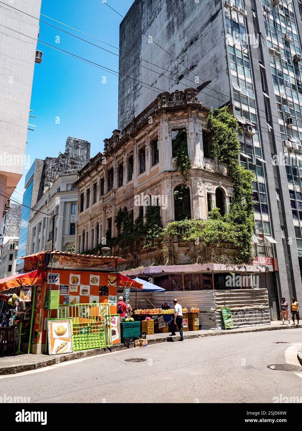 Salvador de Bahia, Brasile. Vista sulla strada con vecchio edificio abbandonato preso dalla natura accanto al nuovo grattacielo Foto Stock