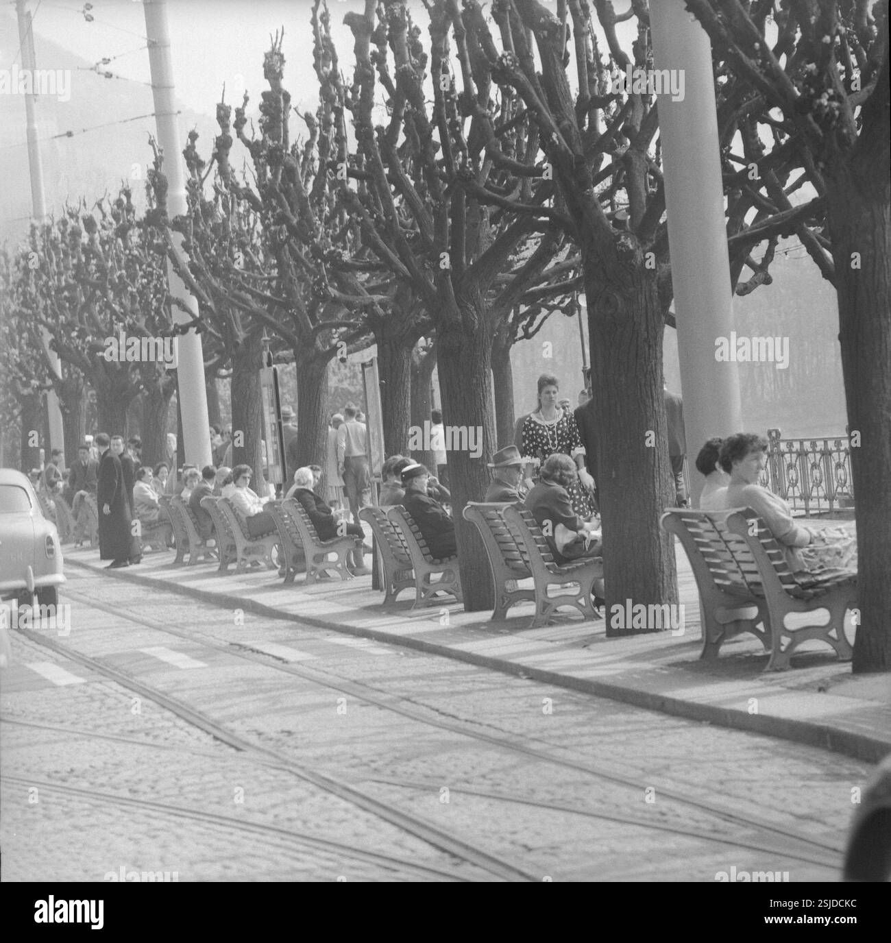 --- Lugano, Promenade, Menschen sitzen auf Parkbänken, 1961#Lugano, Promenade, persone sedute sulle panchine del parco, 1961- RDB DI DUKAS Foto Stock