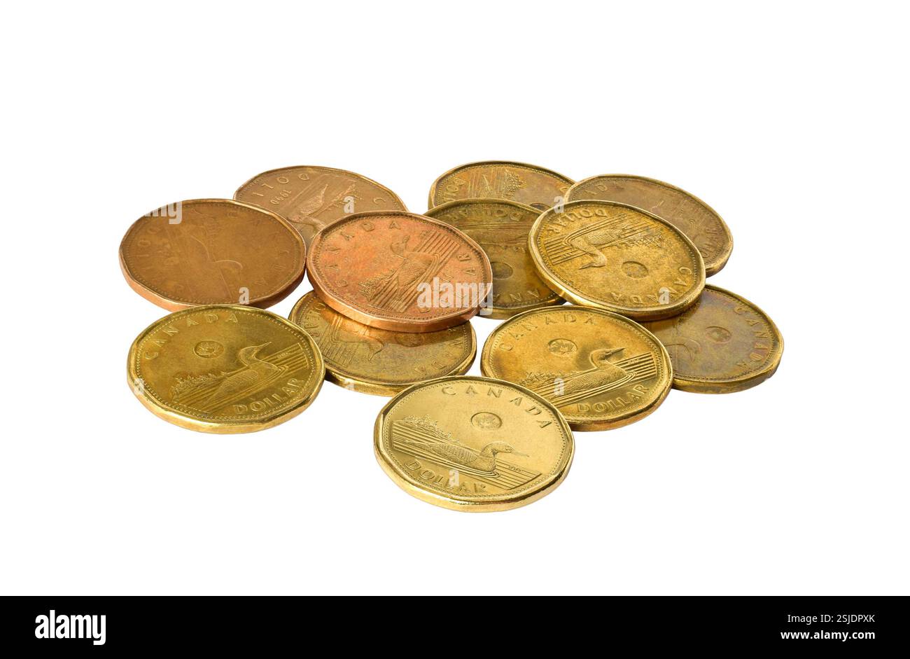 Un gruppo di monete canadesi da un dollaro isolò il taglio sul bianco Foto Stock