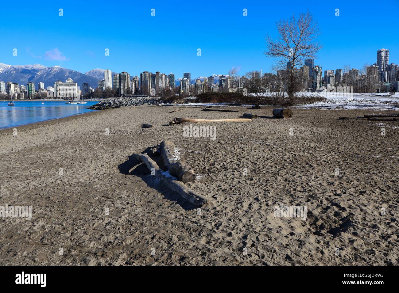 Hadden Beach è una popolare spiaggia per cani sulla costa della English Bay a Kitsilano. La città di Vancouver, British Columbia, è sullo sfondo. Foto Stock
