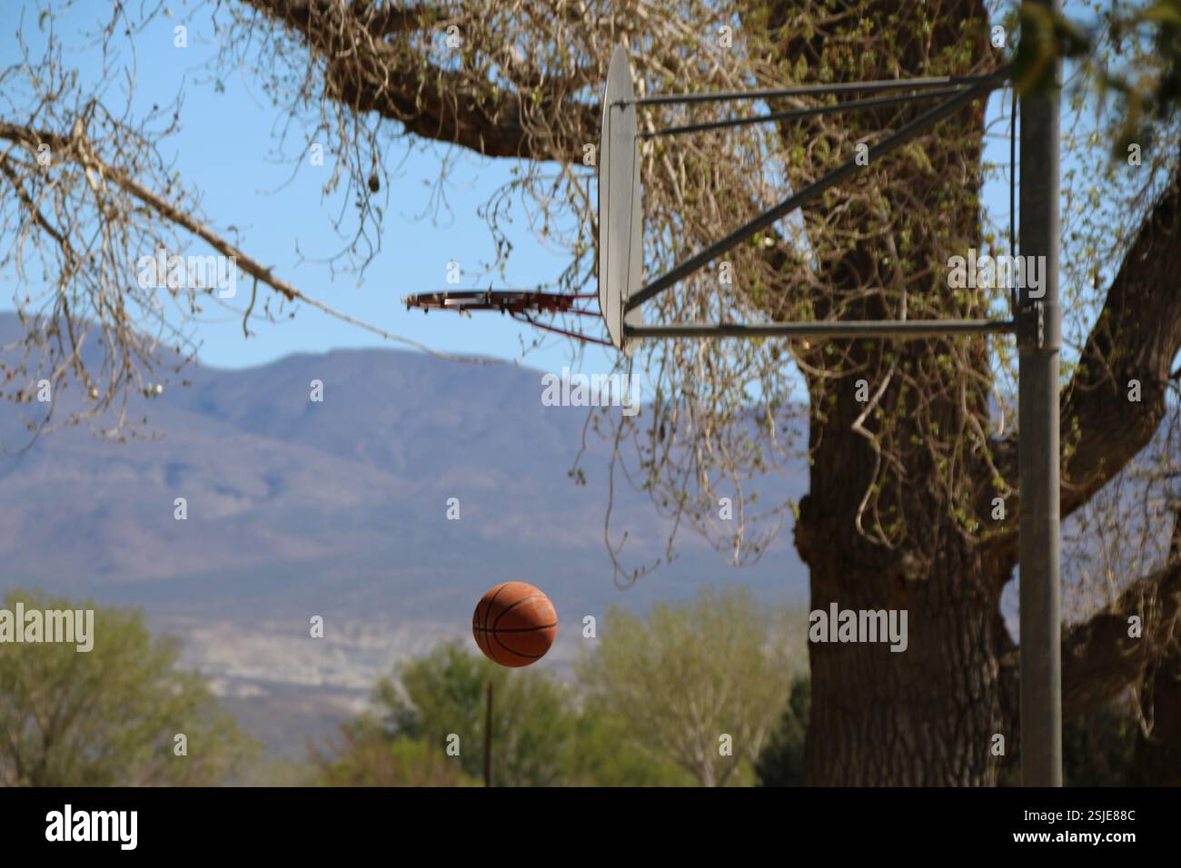 Una partita di basket viene giocata su un campo all'aperto. Backboard, canestro e basket. Foto Stock