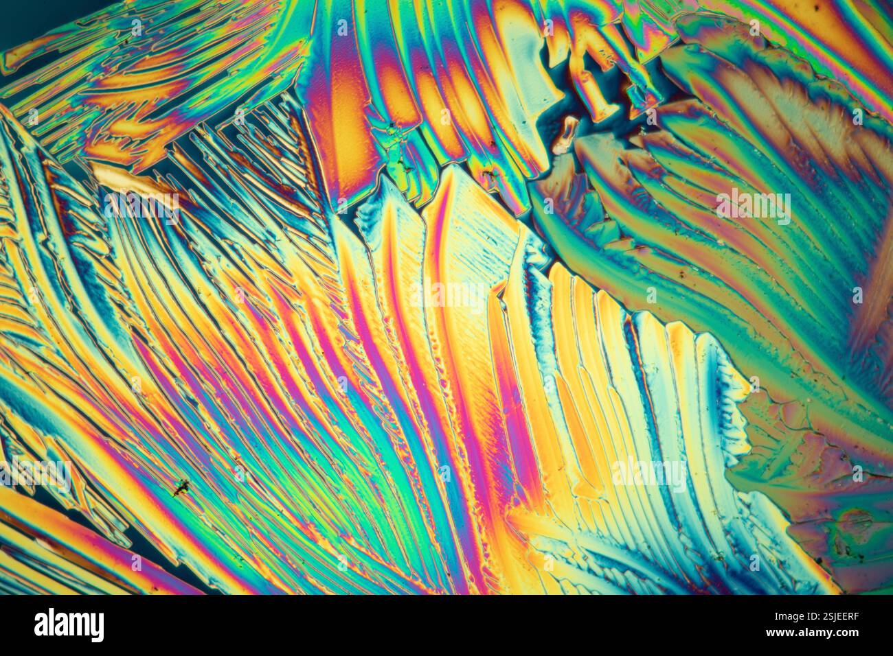 Cristalli di acido citrico in luce polarizzata sotto il microscopio Foto Stock