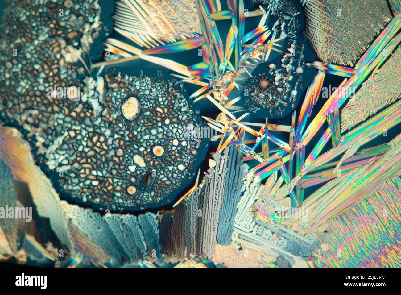 Cristalli di acido citrico in luce polarizzata sotto il microscopio Foto Stock