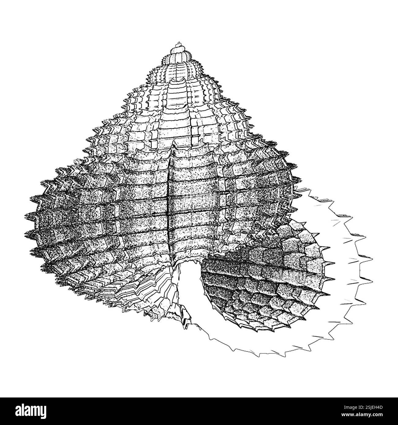 Grafici Di Calcolatore Foto Stock