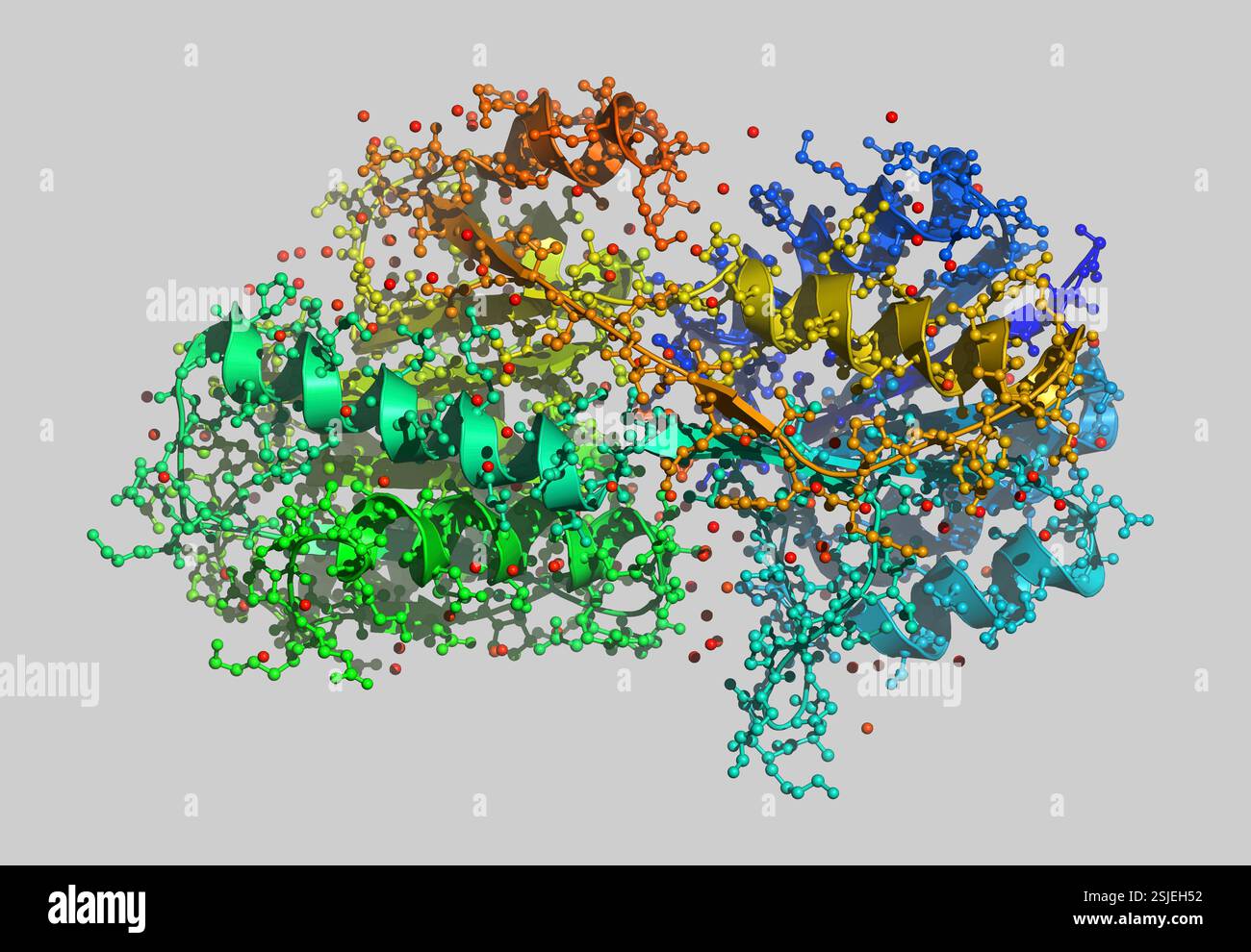 Proteina, proteina modello molecolare Foto Stock