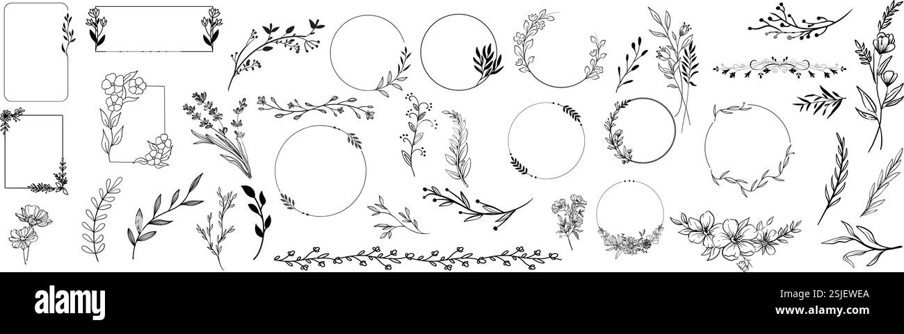 Eleganti cornici botaniche e collezione di elementi floreali Illustrazione Vettoriale