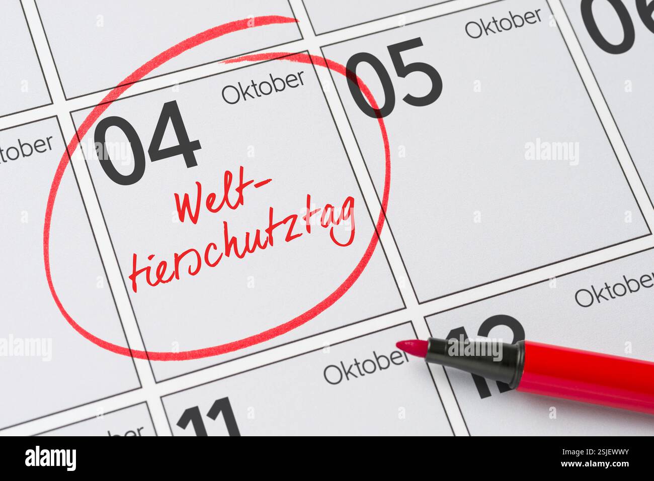 4 ottobre - giornata mondiale degli animali Foto Stock
