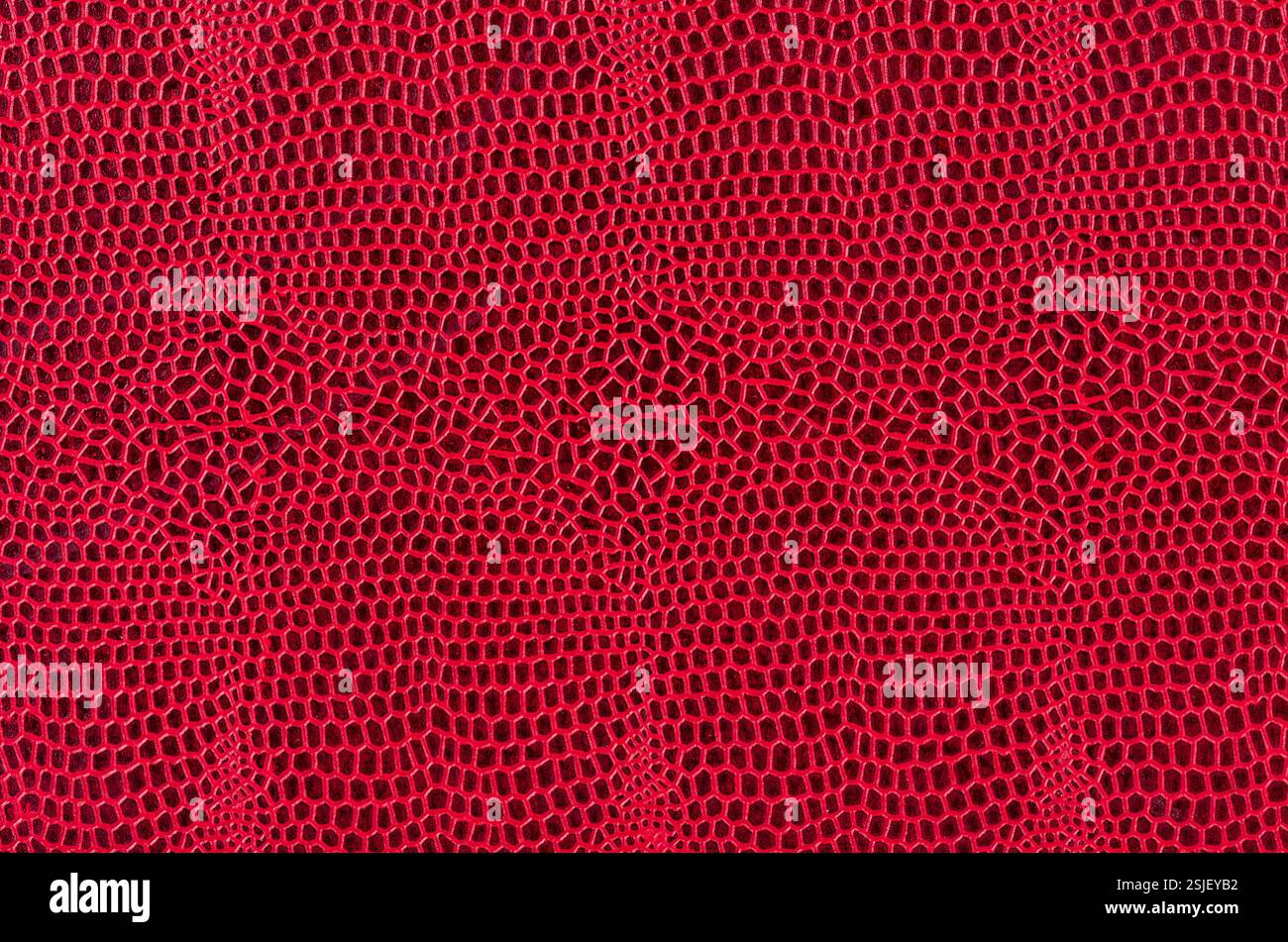 Ecopelle rossa con texture rettile Foto Stock