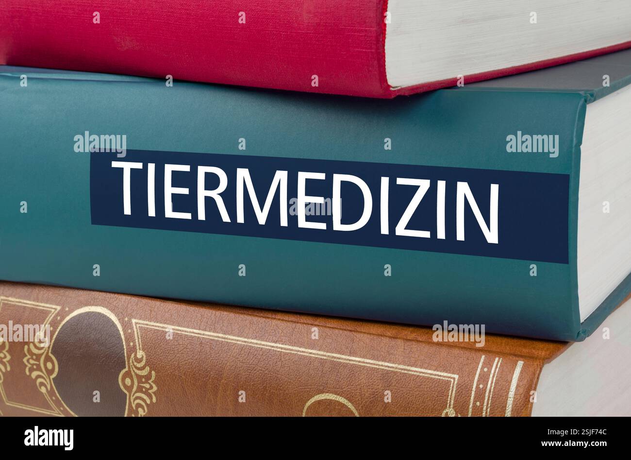 Titolo del libro - Medicina veterinaria Foto Stock