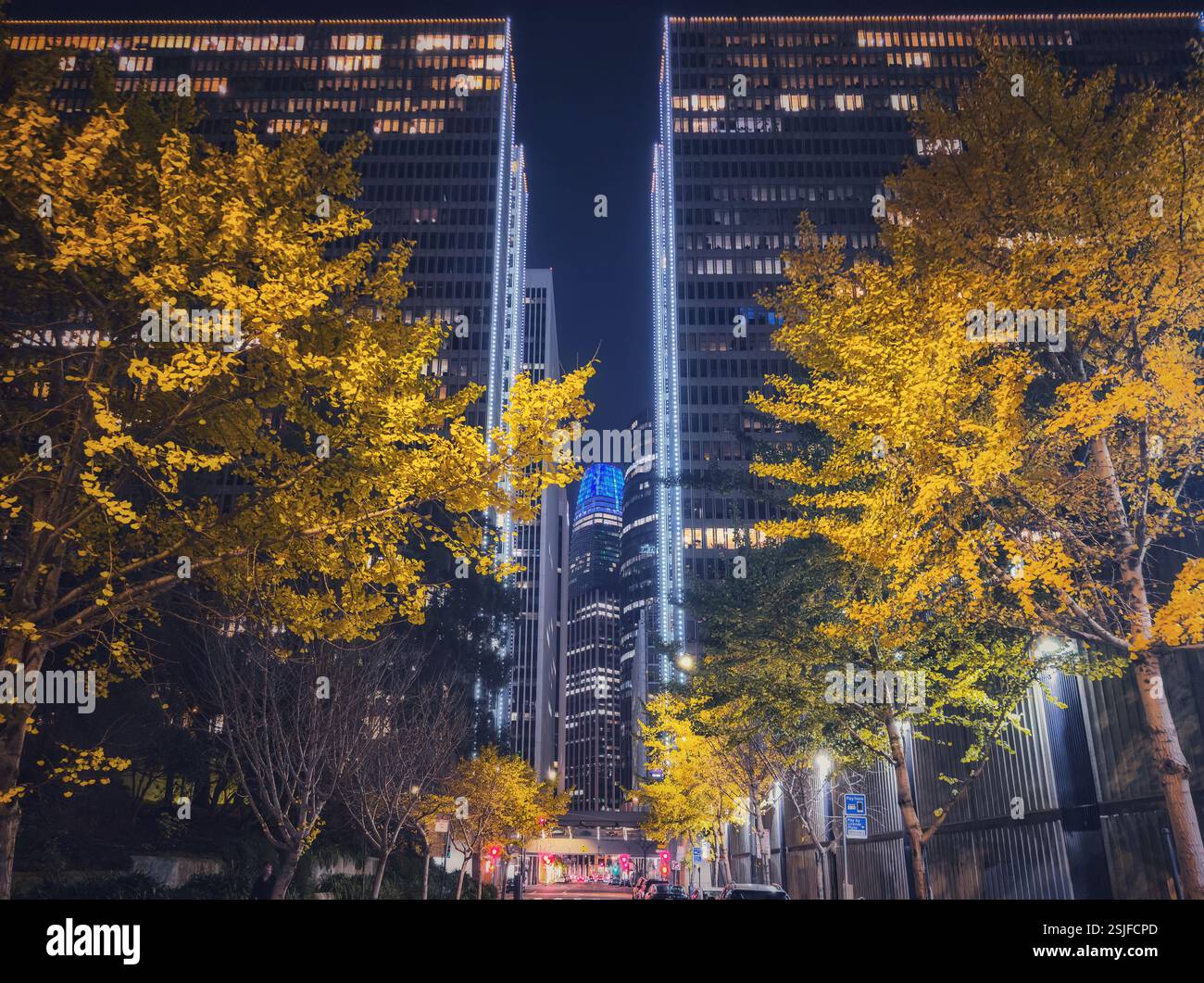 Una San Francisco notturna fiancheggiata da alberi di gingko nel loro glorioso colore autunnale con lo skyline illuminato della città sullo sfondo. Foto Stock