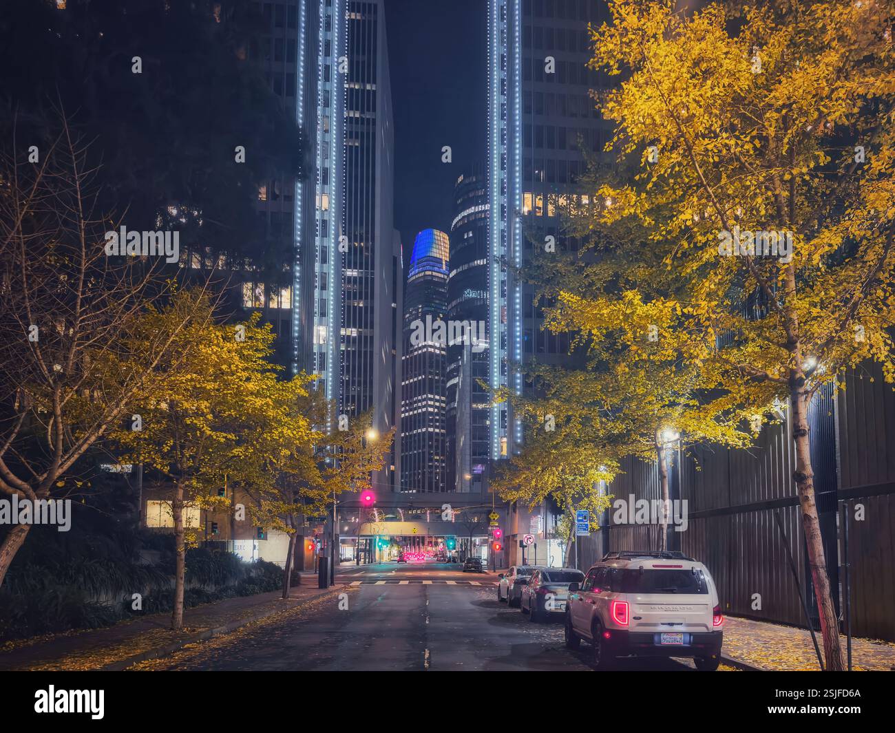 Una San Francisco notturna fiancheggiata da alberi di gingko nel loro glorioso colore autunnale con lo skyline illuminato della città sullo sfondo. Foto Stock