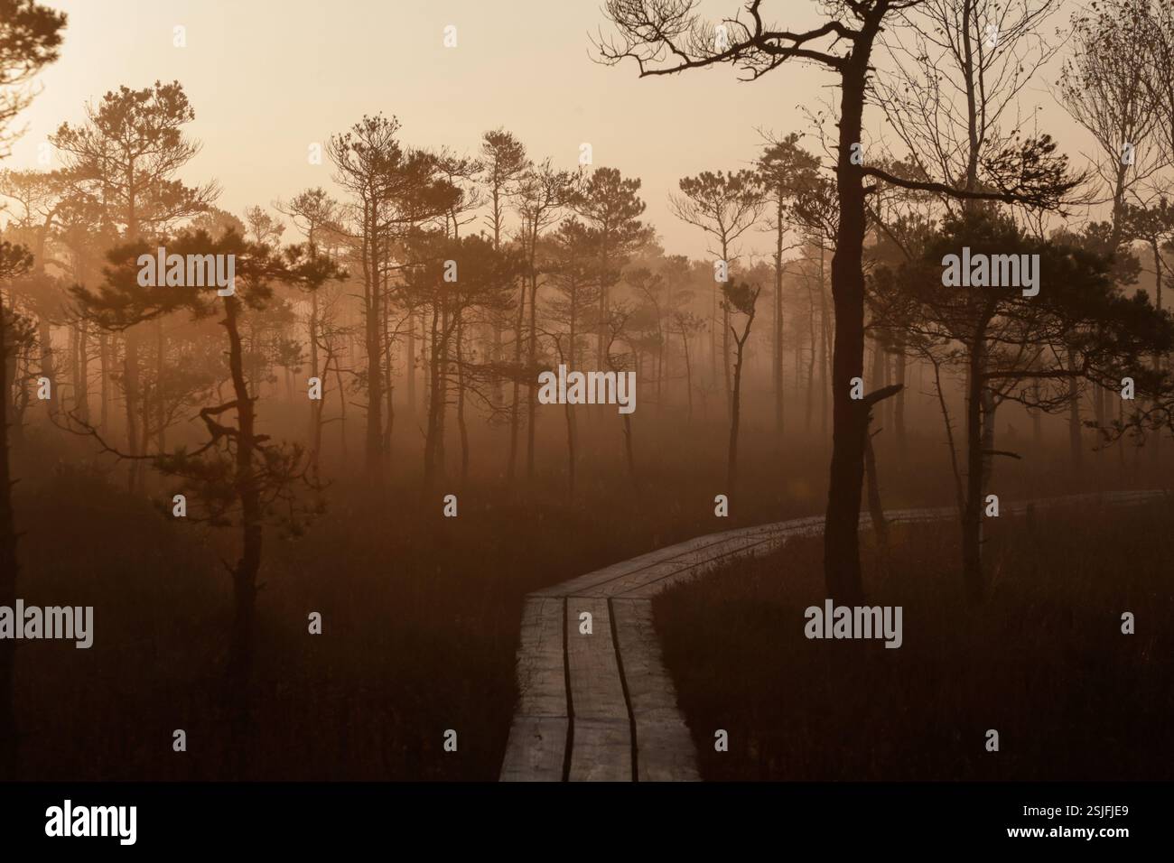 Andiamo Foto Stock