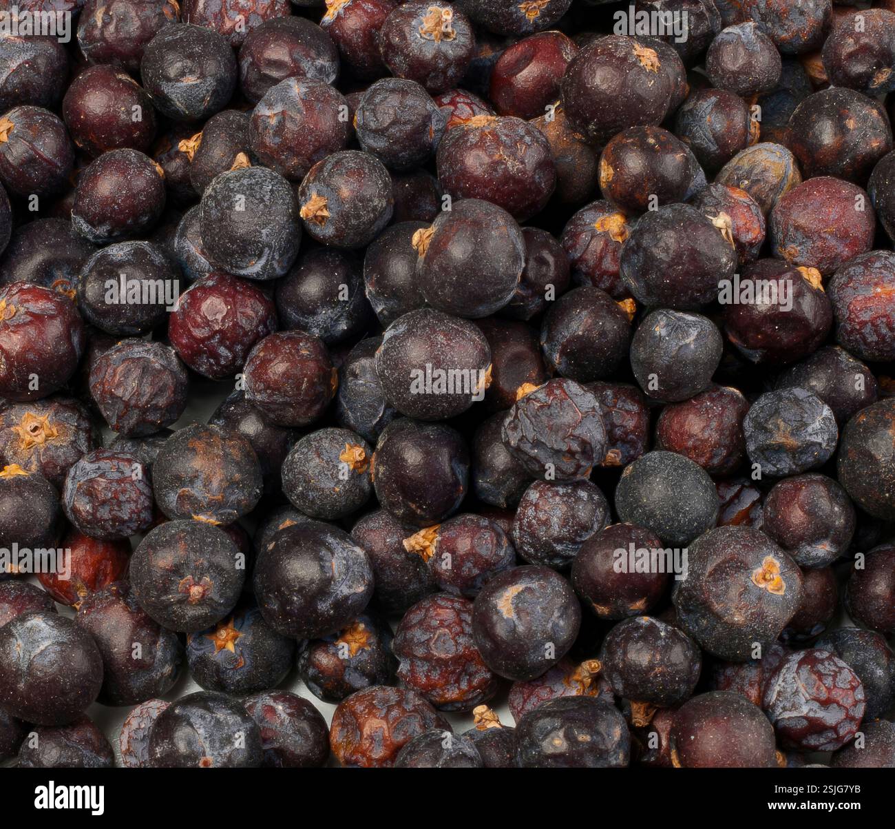 Molte bacche di ginepro secche creano uno sfondo di condimento di colore scuro per la cottura Foto Stock