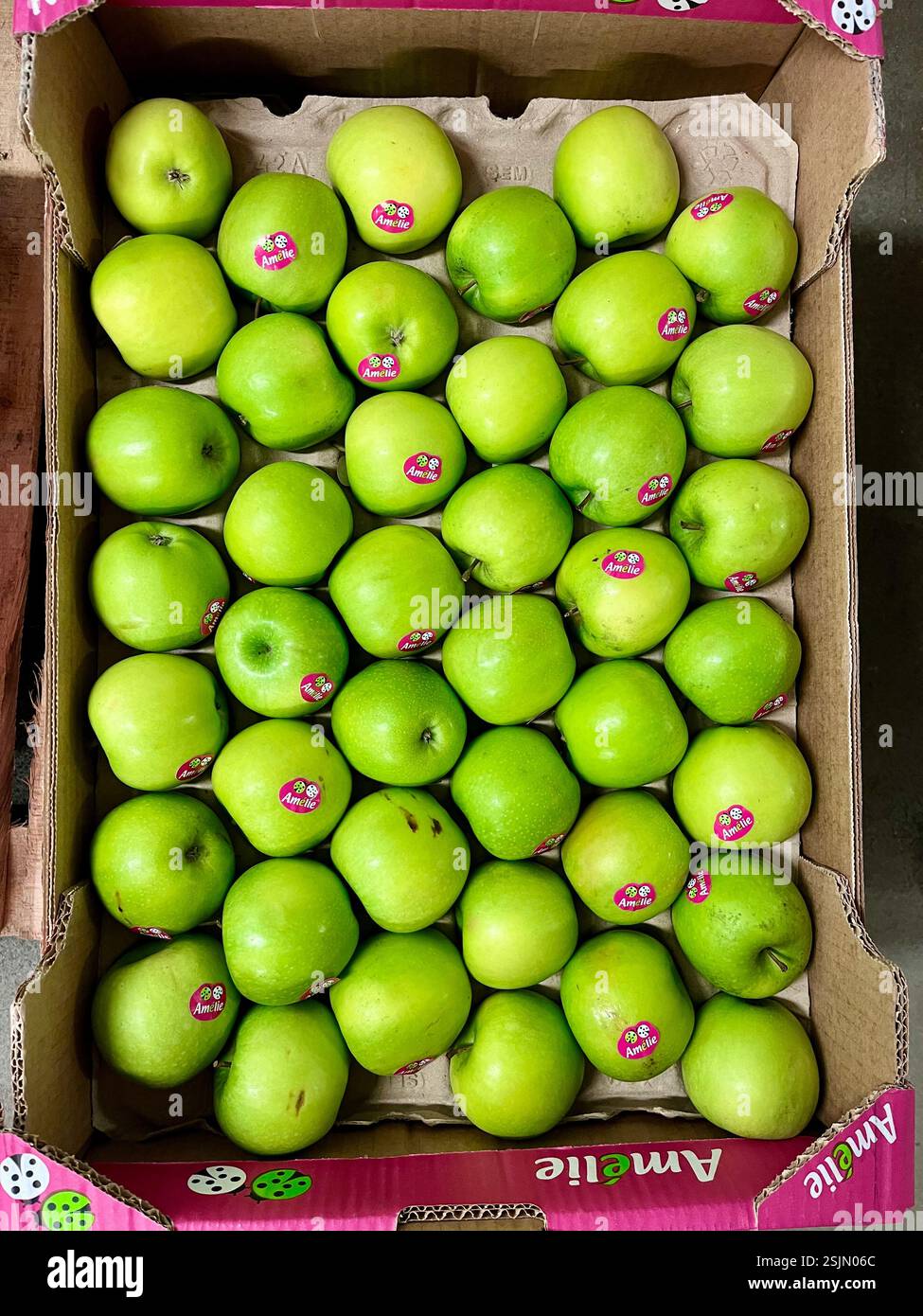 Mele verdi, Granny Smith, mele, Amelie B.V., distributore olandese, paesi Bassi, frutta, magazzino, agricoltura, fornitura di frutta, logistica, distribuzione - Immagine stock catturata con smartphone