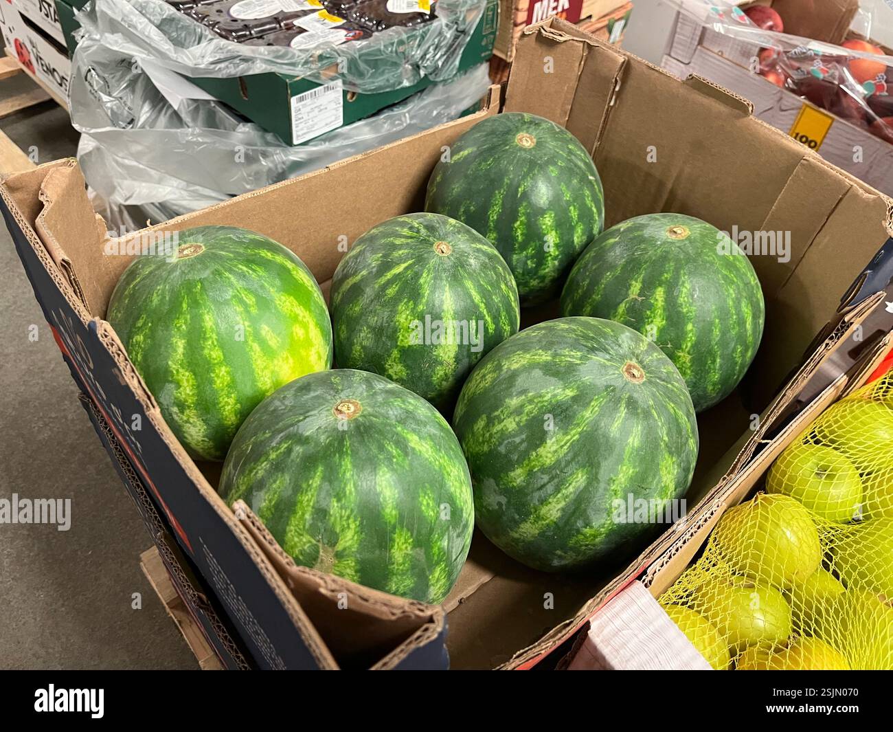 anguria, anguria, cassa di cartone, scatola di anguria, frutta, magazzino, produzione, agricoltura, stoccaggio della frutta, distribuzione, catena di approvvigionamento - Immagine stock catturata con smartphone