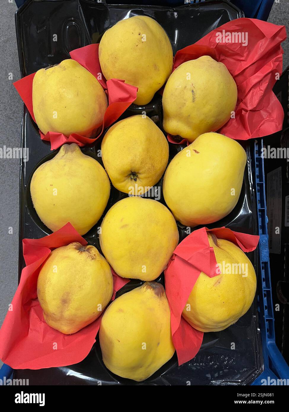 quince, quinces maturi, vista dall'alto, cassa, frutta, magazzino, produzione, agricoltura, approvvigionamento alimentare, logistica, stoccaggio, distribuzione, catena di approvvigionamento della frutta - Immagine stock catturata con smartphone