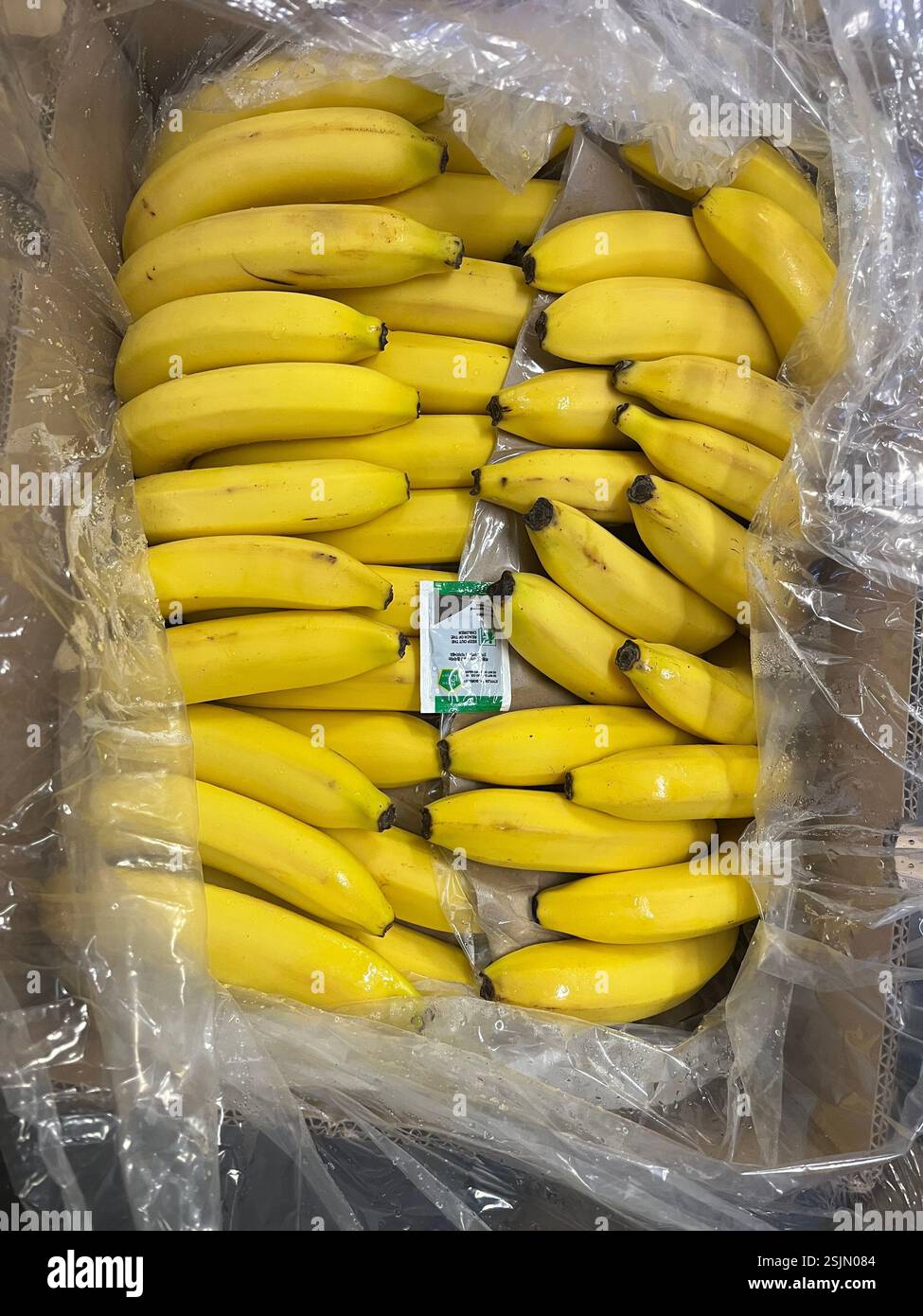 Banane mature, scatola di banane, assorbitore di etilene, frutta, magazzino, agricoltura, approvvigionamento alimentare, logistica, stoccaggio della frutta, distribuzione, catena di approvvigionamento - Immagine stock catturata con smartphone