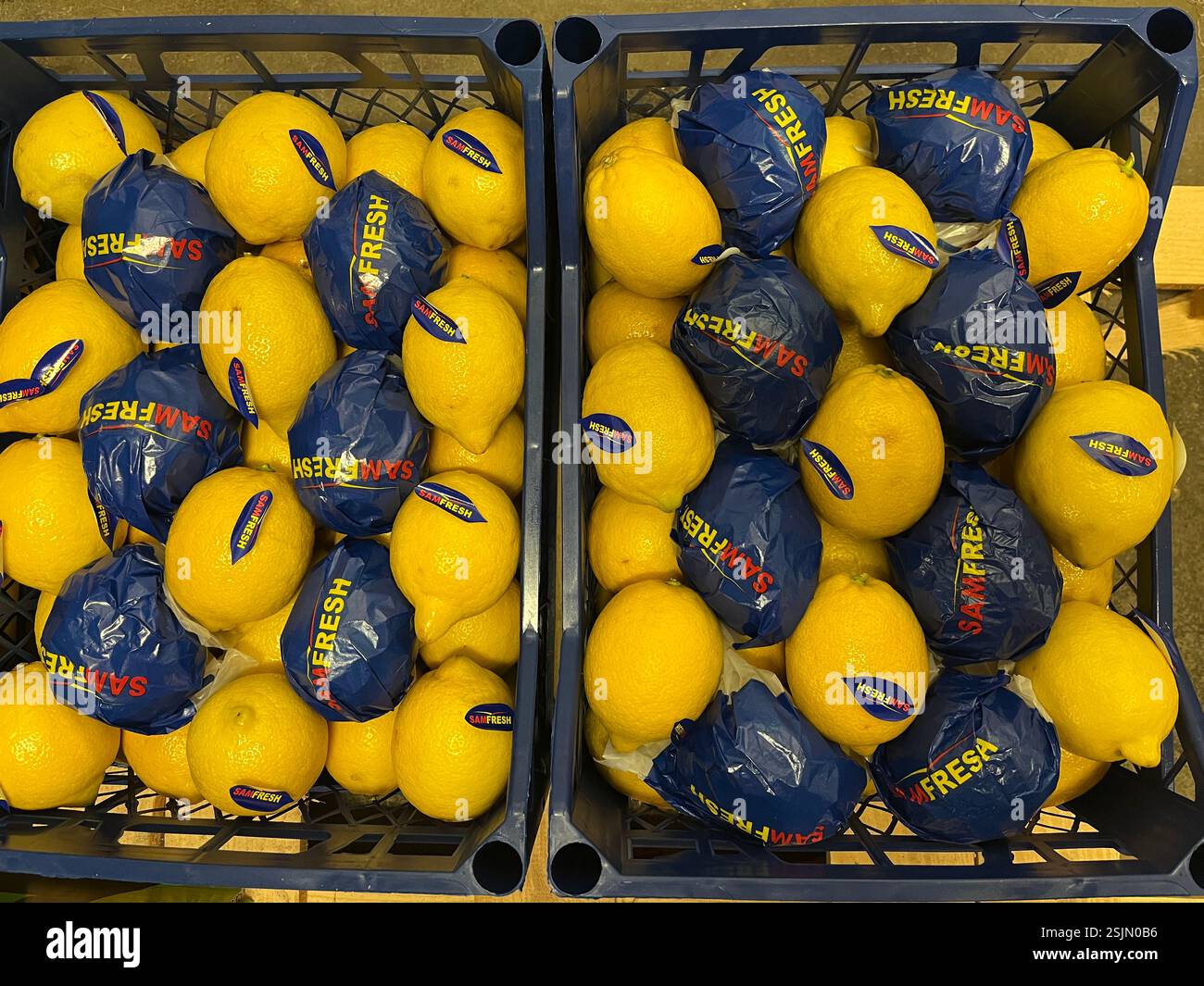 Limoni, agrumi, SamFresh, Argentina, casse, frutta, magazzino, prodotti, agricoltura, approvvigionamento alimentare, stoccaggio, distribuzione, catena di approvvigionamento della frutta - Immagine stock catturata con smartphone