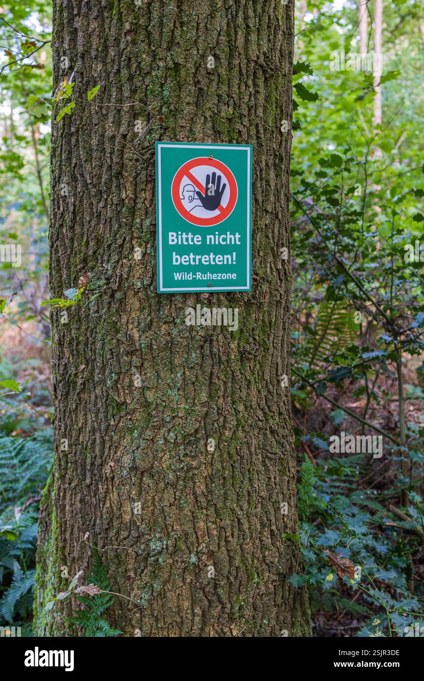 Zona tranquilla per la fauna selvatica, senza problemi Foto Stock