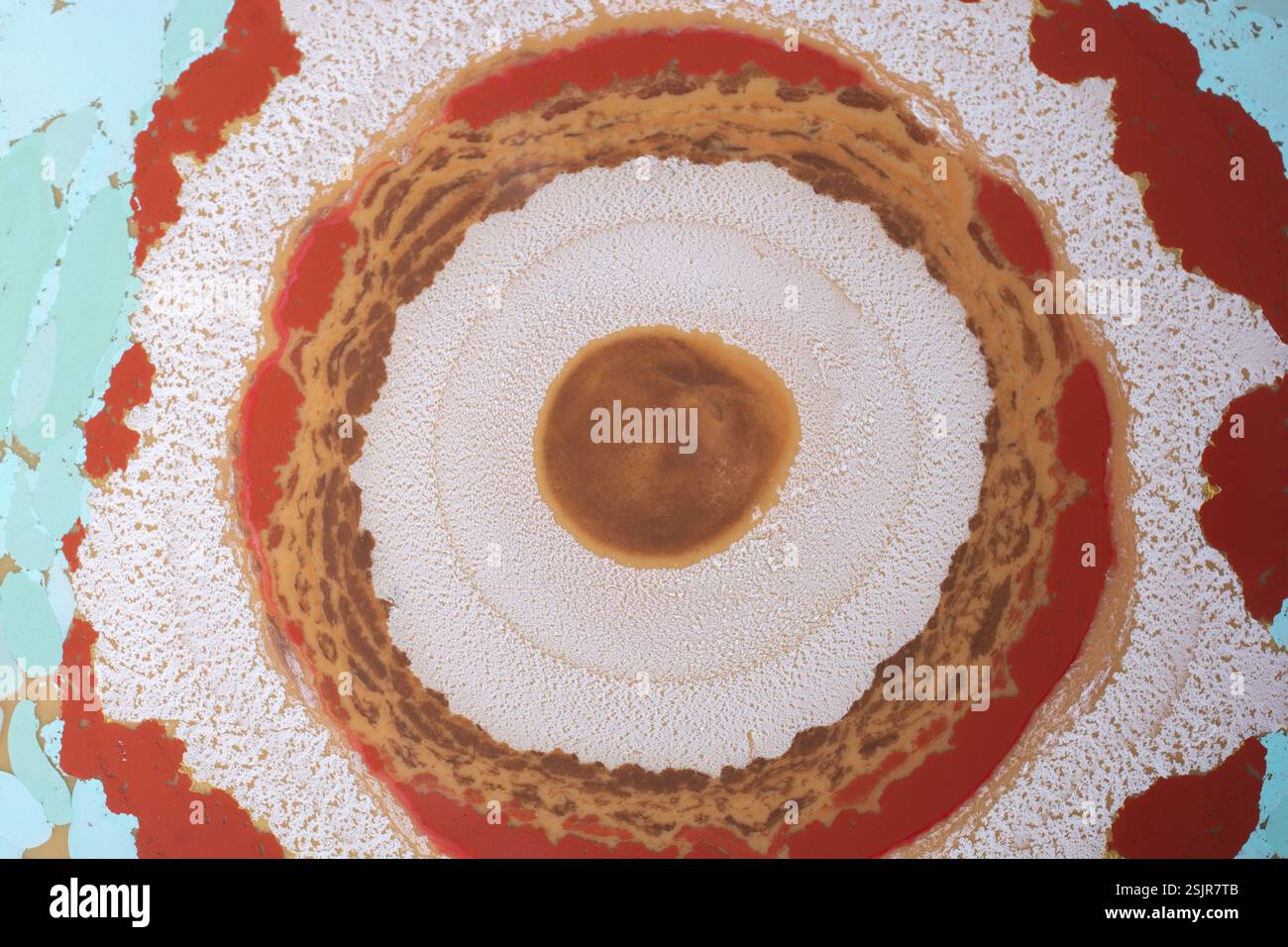 Bella arte astratta di tecniche di pittura di marbling Ebru sull'acqua con vernici acriliche Foto Stock