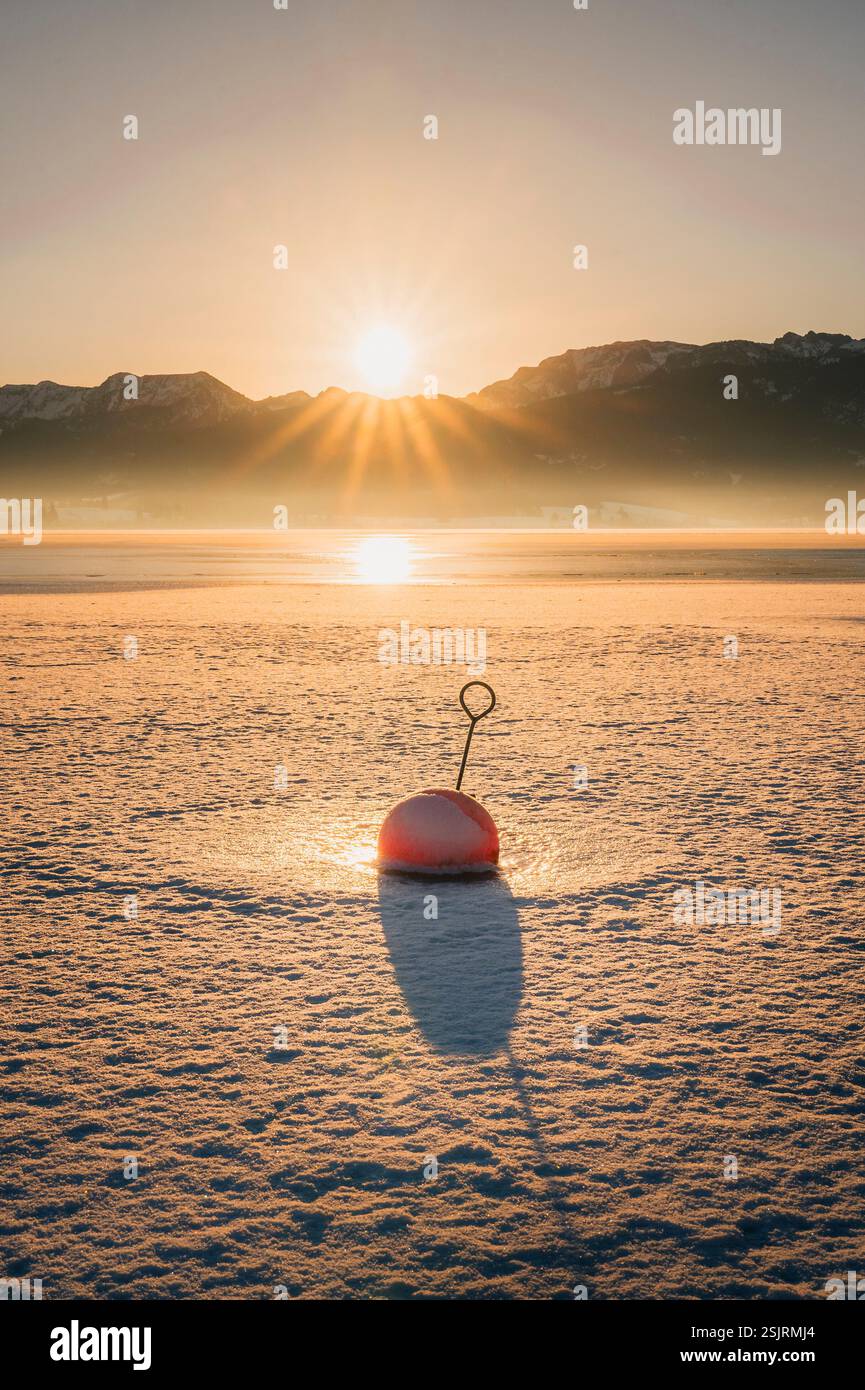 Boa rossa nel ghiaccio ghiacciato sullo sfondo del monte Allgäu all'alba Foto Stock