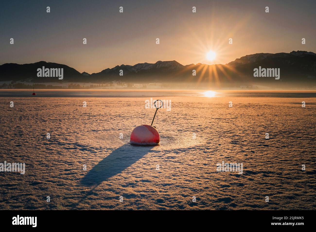 Boa rossa nel ghiaccio ghiacciato sullo sfondo del monte Allgäu all'alba Foto Stock