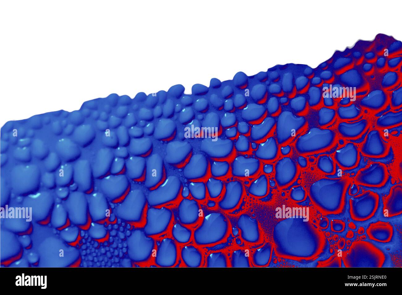 Sfondi eleganti e con eleganti motivi minimal. Astratta texture moderne. Design alla moda Foto Stock