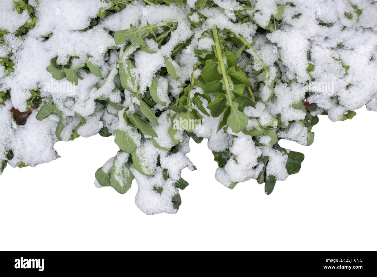 Sfondi eleganti e con eleganti motivi minimal. Astratta texture moderne. Design alla moda Foto Stock