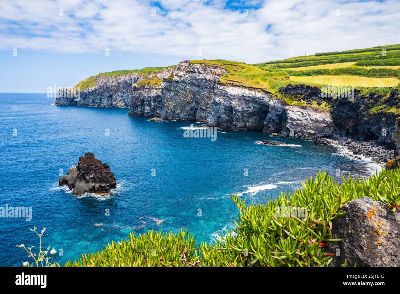 Rocce nell'oceano blu con piante tropicali verdi sulla costa dell'isola di Sao Miguel al punto panoramico di Ribeirinha, Azzorre, Portogallo Foto Stock