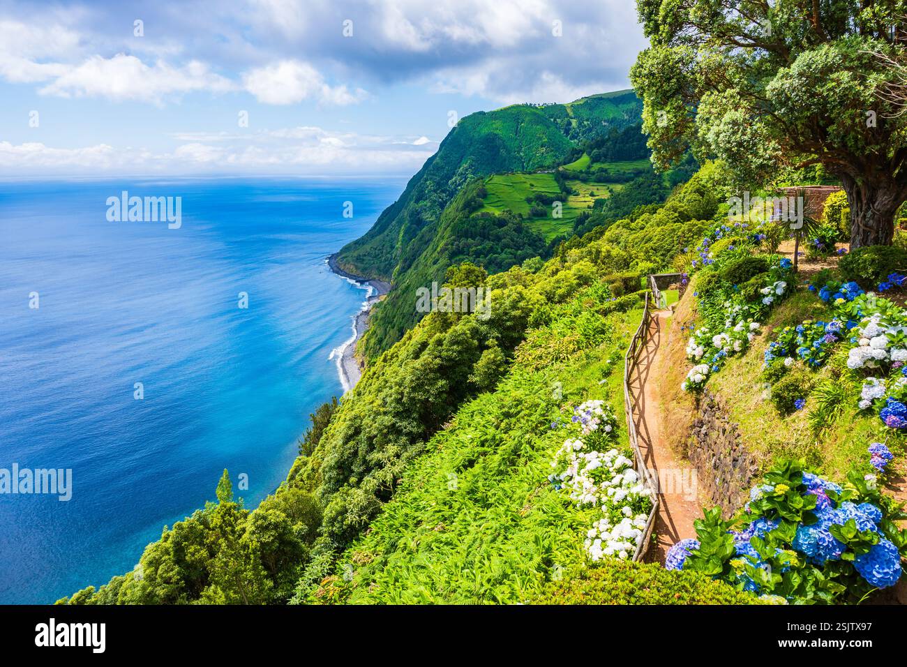 Sentiero costiero con fiori lungo l'oceano nei giardini tropicali di Ponta do Sossego, isola di Sao Miguel, Azzorre, Portogallo Foto Stock