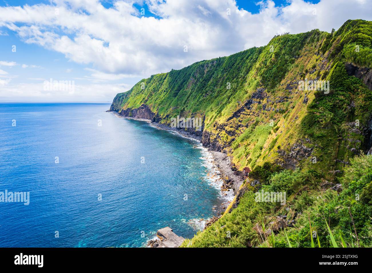 Splendida baia con spiaggia e piante tropicali sulla costa oceanica di Farol do Arnel, isola di Sao Miguel, Azzorre, Portogallo Foto Stock