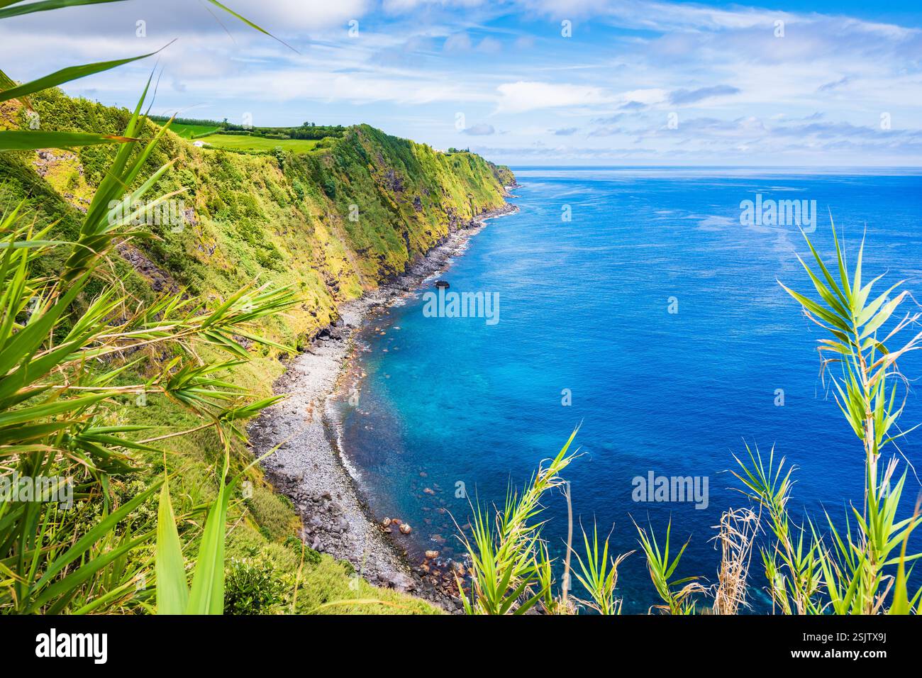 Splendida baia con spiaggia e piante tropicali sulla costa oceanica di Farol do Arnel, isola di Sao Miguel, Azzorre, Portogallo Foto Stock