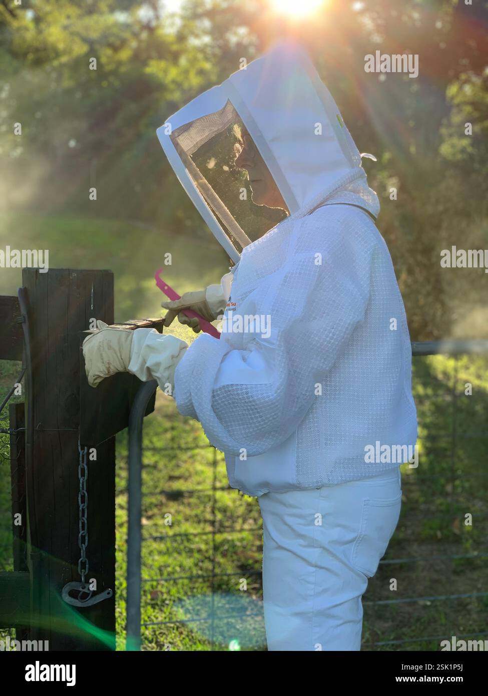 La vita in una fattoria di Hobby Foto Stock