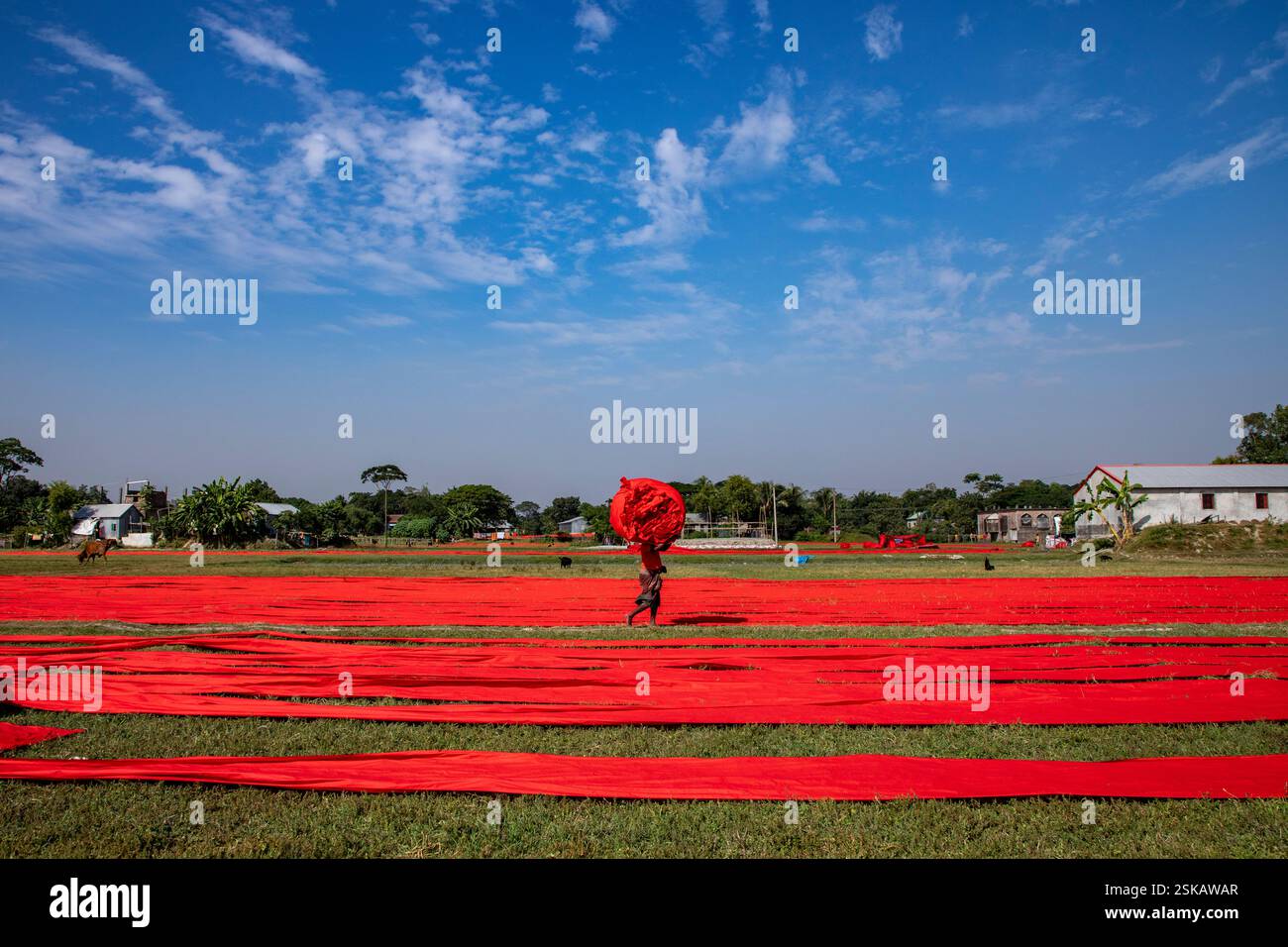 Un lavoratore porta un panno colorato sulla testa mentre si dirige verso la fabbrica dopo che si è asciugato. Narsingdi, Bangladesh. Foto Stock