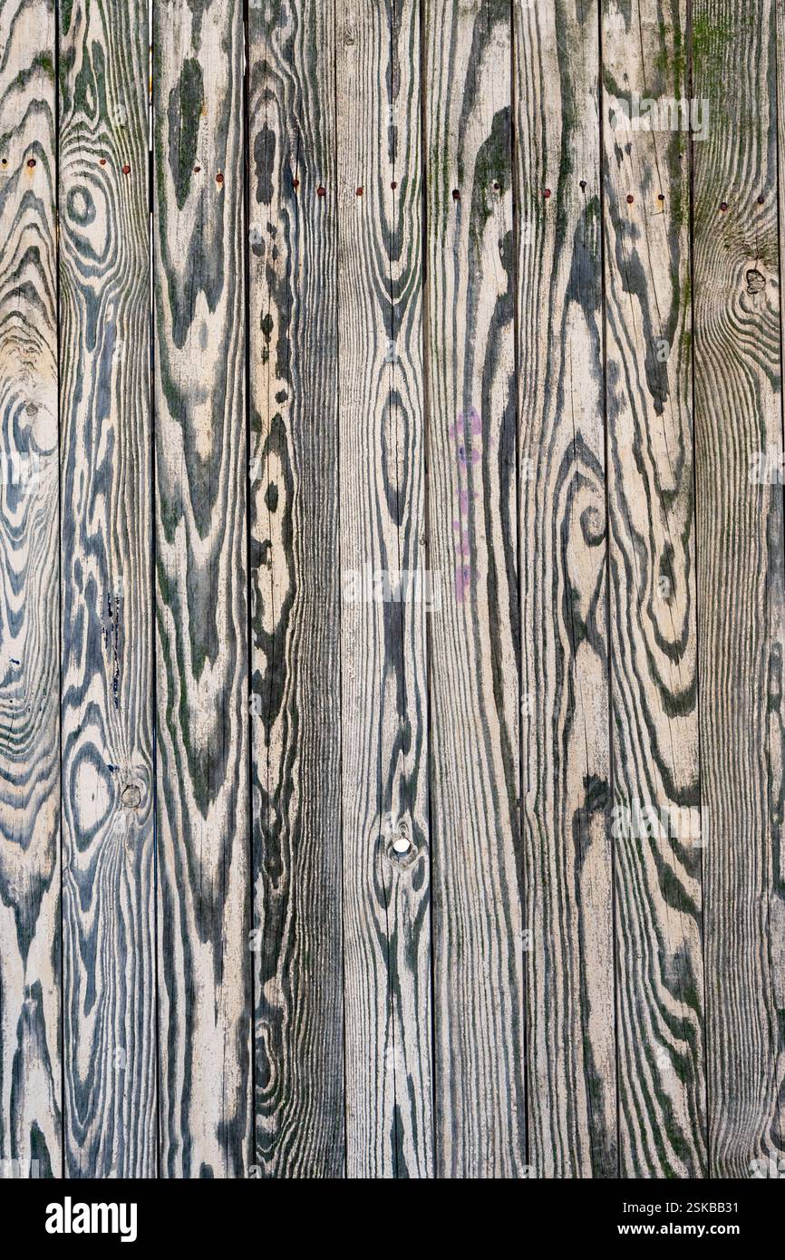 Una vista ravvicinata di una parete in legno rivela intricati motivi e trame di grana. I colori naturali si fondono armoniosamente, migliorando la sensazione organica di t Foto Stock
