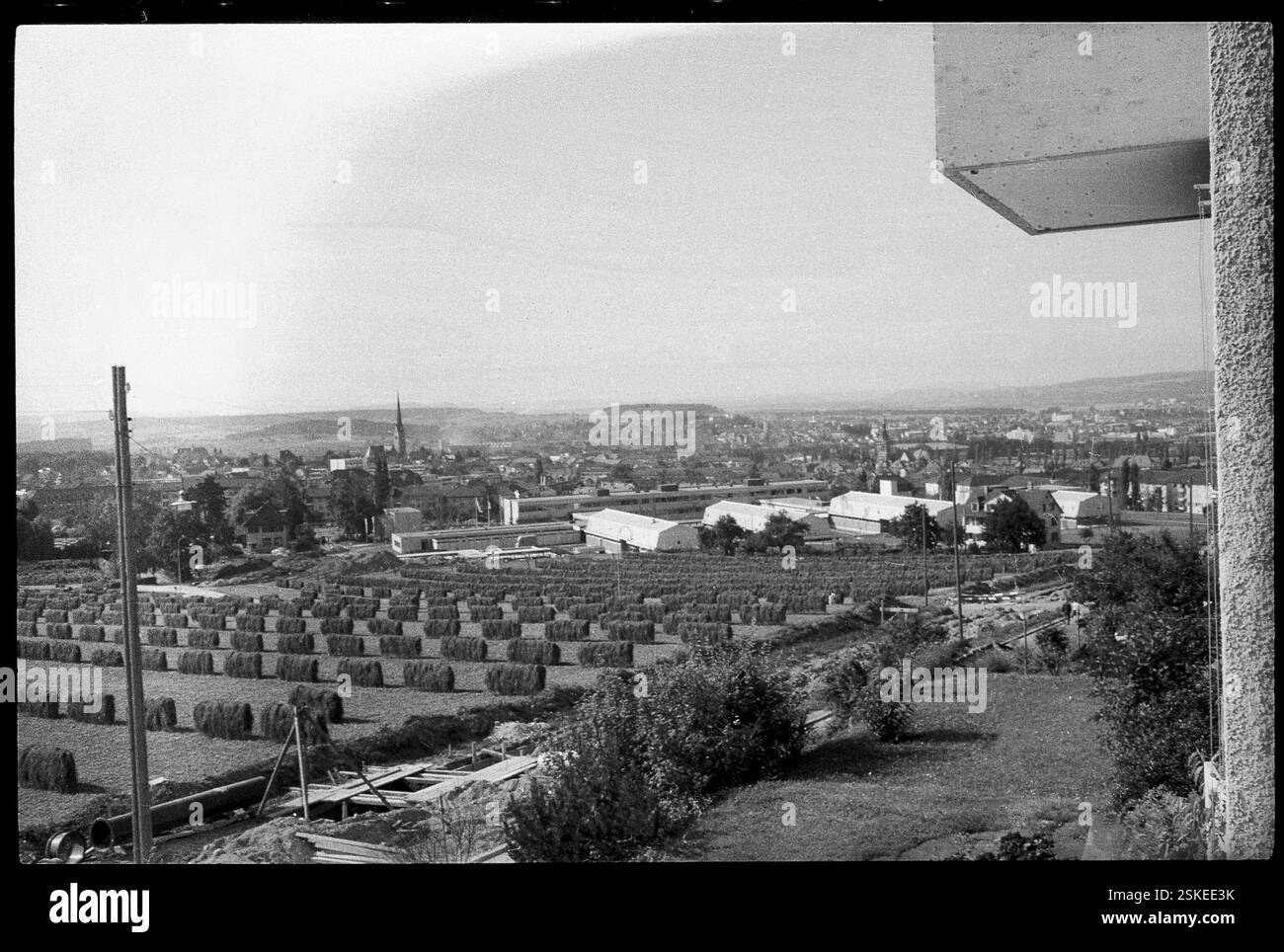 Strickhof-Areal--- Neubau des kantonalen Tierspitals a Zürich 1963#nuovo edificio dell'ospedale per animali a Zürich 1963- RDB DI DUKAS Foto Stock