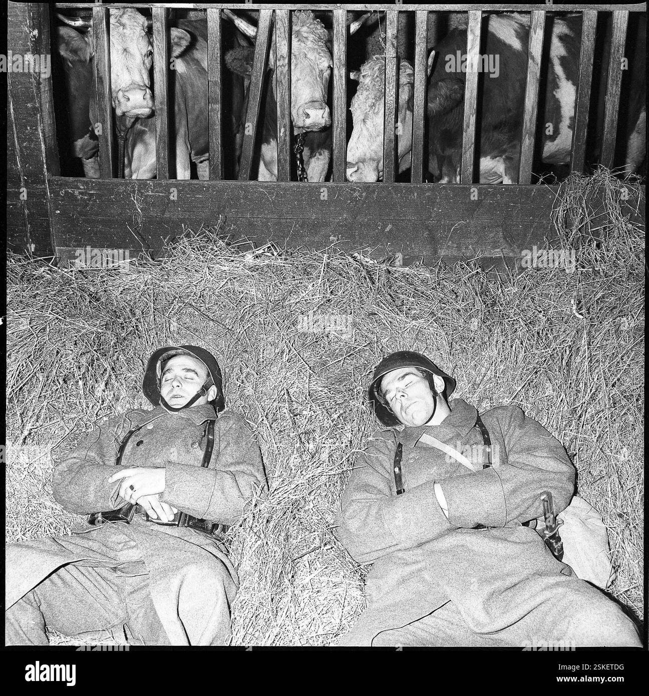 --- Zwei Soldaten schlafen im Heu, 1961#due soldati dormono nel fieno, 1961- RDB DI DUKAS Foto Stock