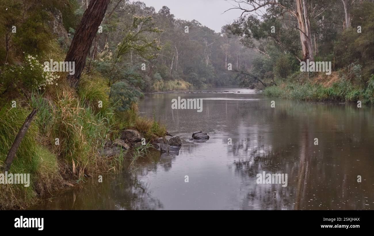 Pioggia sulla Yarra Foto Stock