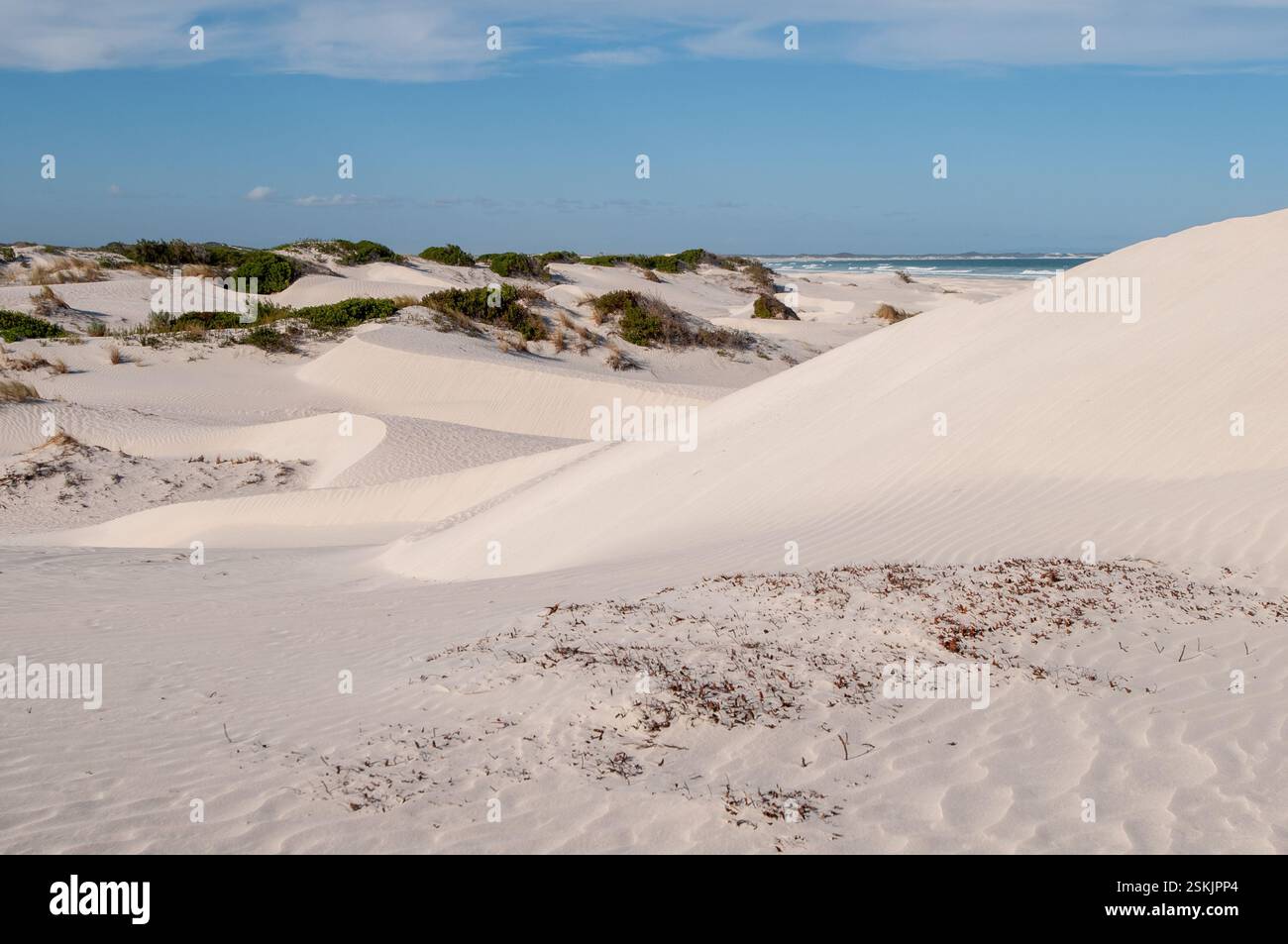 Dune di sabbia costiere, Sudafrica Foto Stock