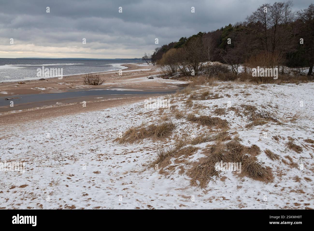 Nuvoloso giorno di dicembre sulla riva del Golfo di Finlandia. Costa di Komarovo, regione di Leningrado. Russia Foto Stock