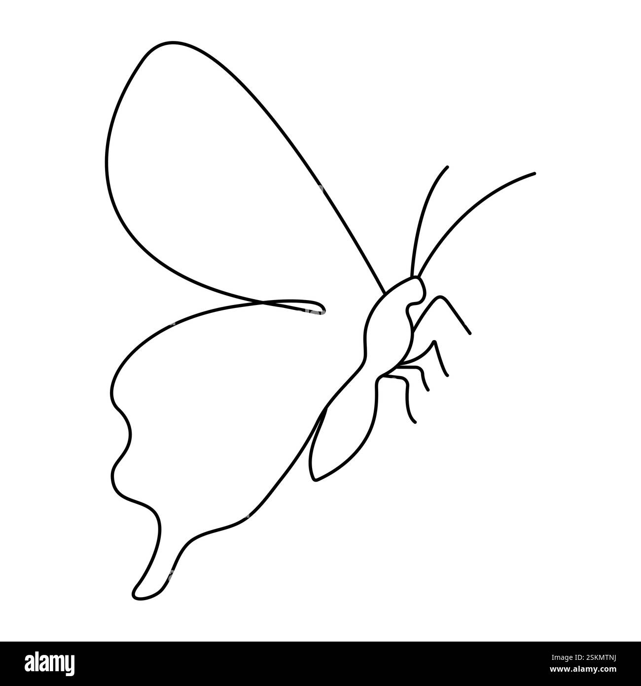 Disegno continuo a farfalla su una linea con sfondo bianco e nero Illustrazione Vettoriale